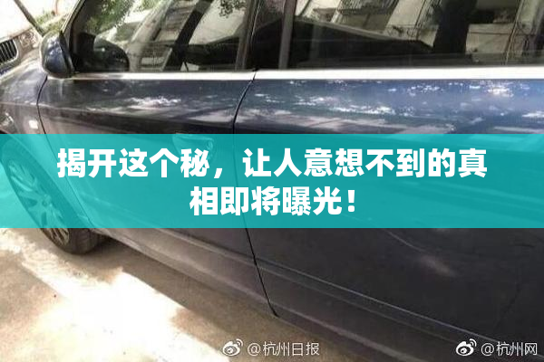 揭开这个秘，让人意想不到的真相即将曝光！