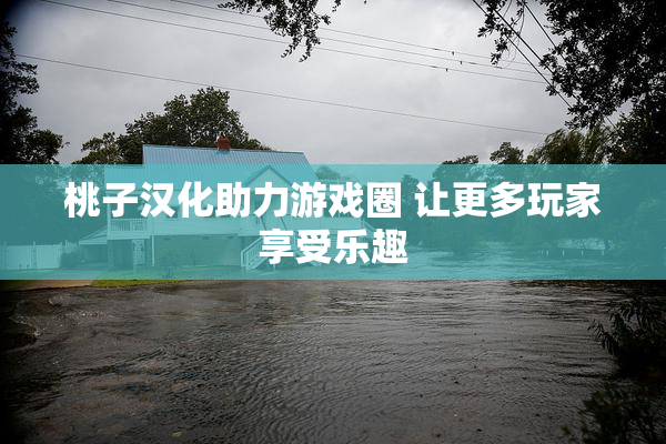 桃子汉化助力游戏圈 让更多玩家享受乐趣