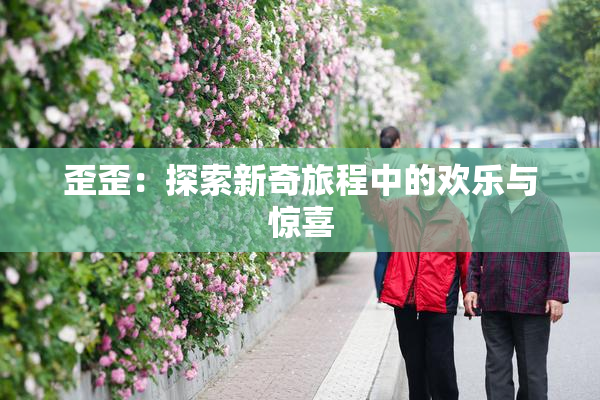 歪歪：探索新奇旅程中的欢乐与惊喜