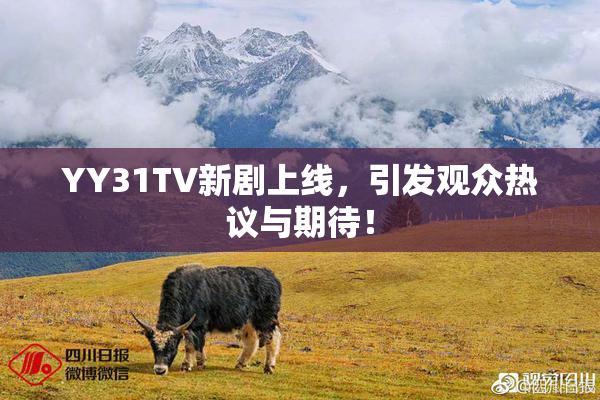 YY31TV新剧上线，引发观众热议与期待！