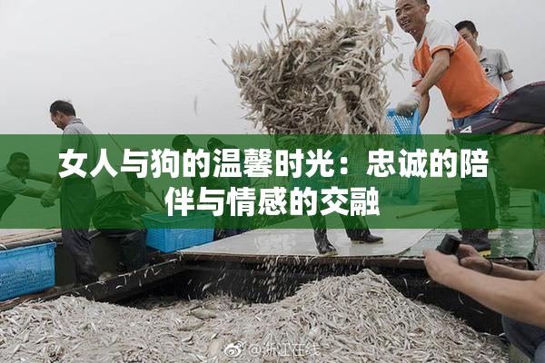 女人与狗的温馨时光：忠诚的陪伴与情感的交融