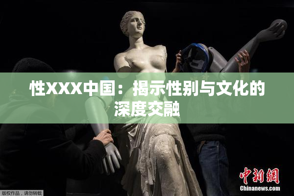 性XXX中国：揭示性别与文化的深度交融