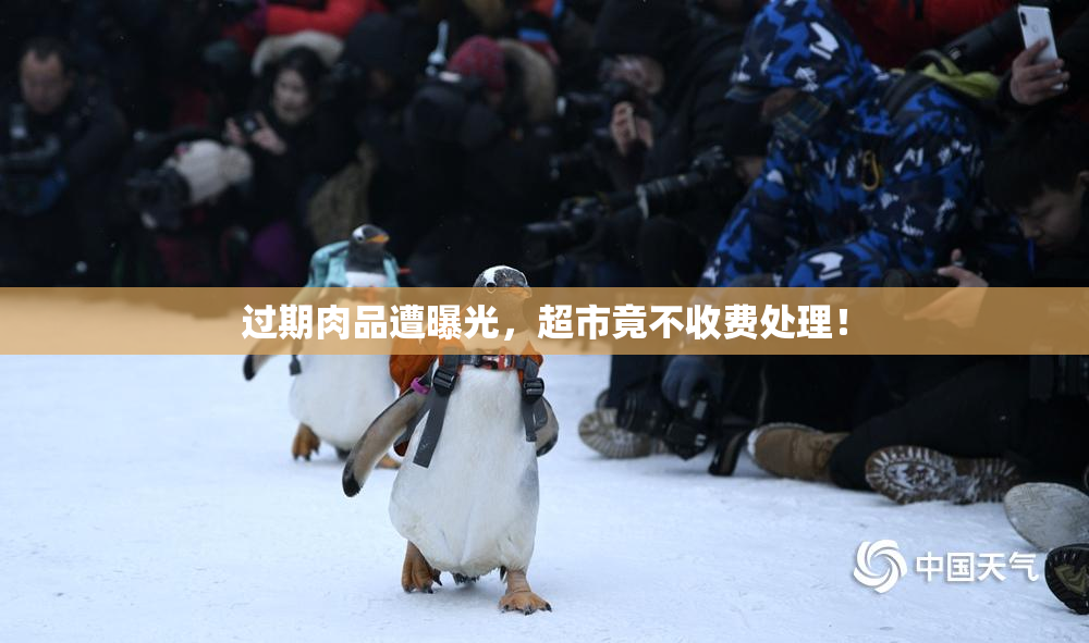 过期肉品遭曝光，超市竟不收费处理！