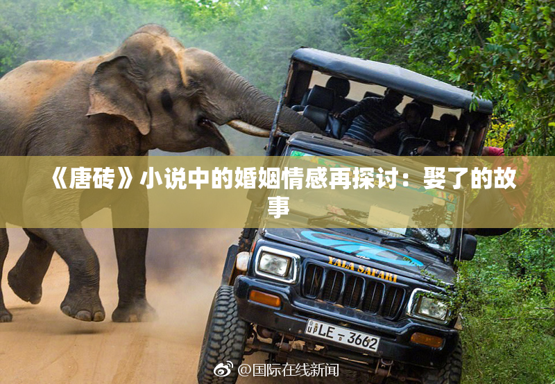 《唐砖》小说中的婚姻情感再探讨：娶了的故事
