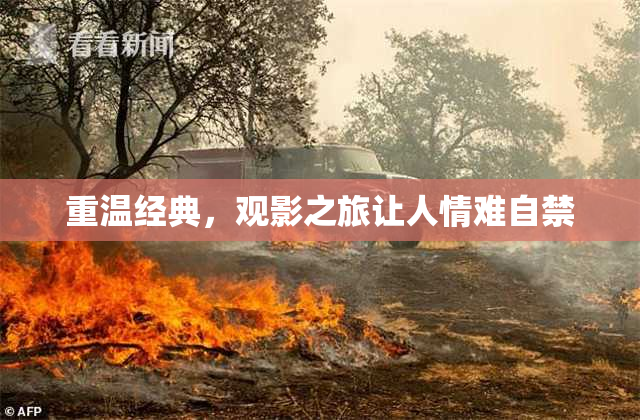 重温经典，观影之旅让人情难自禁