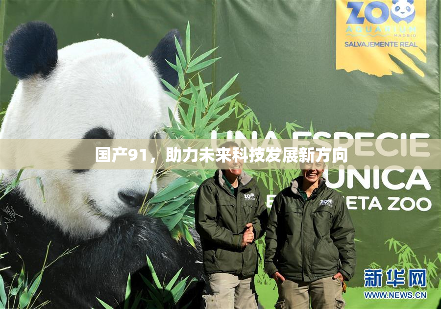 国产91，助力未来科技发展新方向