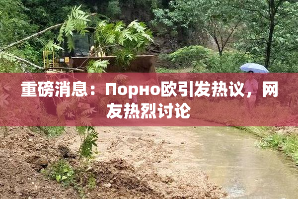 重磅消息：Порно欧引发热议，网友热烈讨论