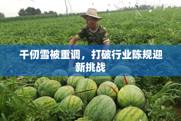 千仞雪被重调，打破行业陈规迎新挑战