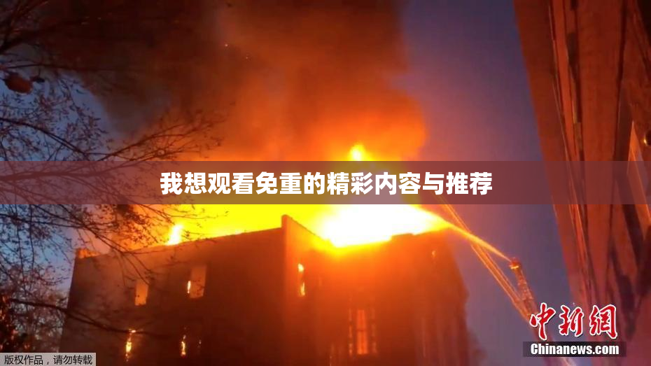 我想观看免重的精彩内容与推荐