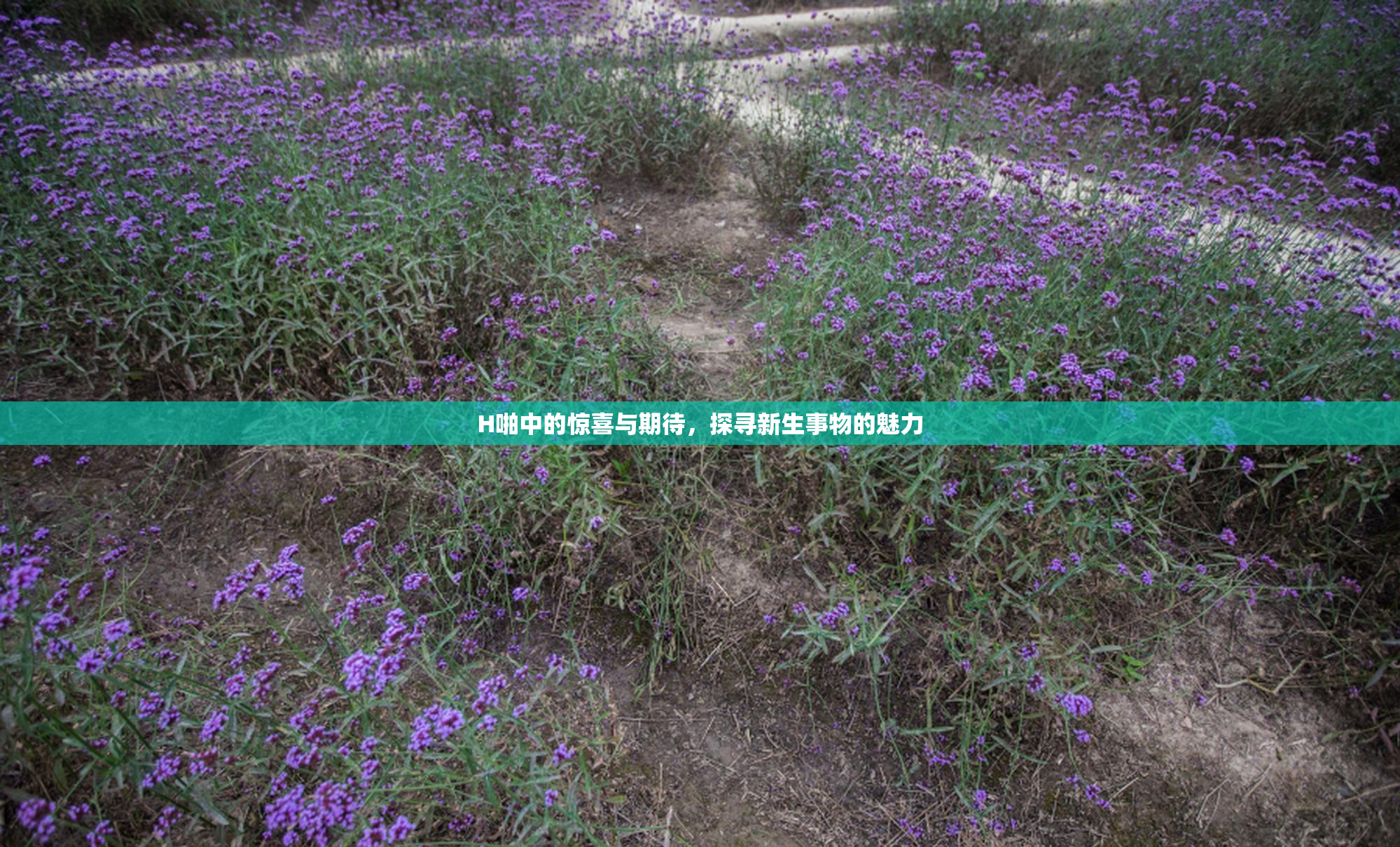 H啪中的惊喜与期待，探寻新生事物的魅力
