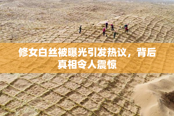 修女白丝被曝光引发热议，背后真相令人震惊
