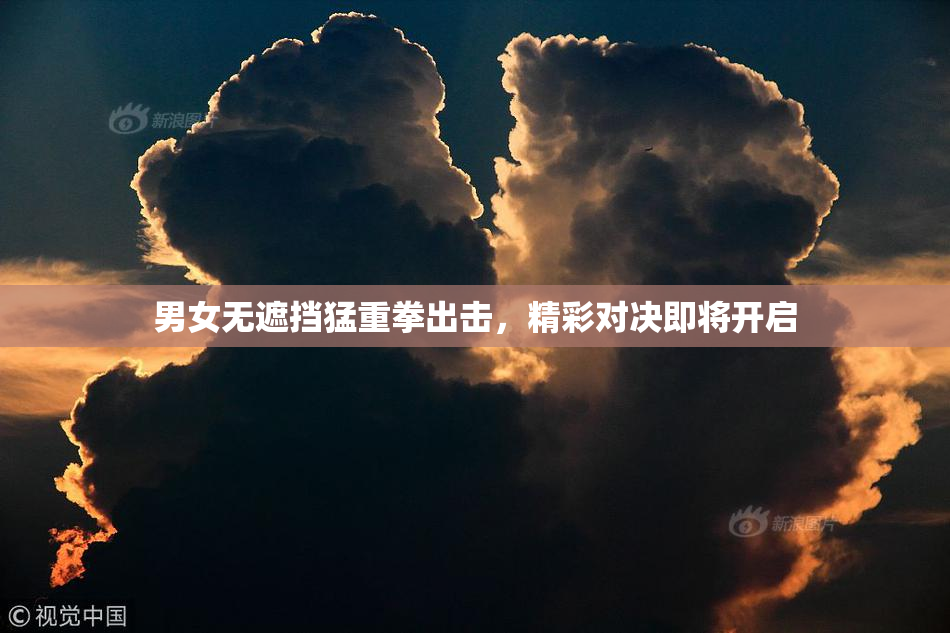 男女无遮挡猛重拳出击，精彩对决即将开启