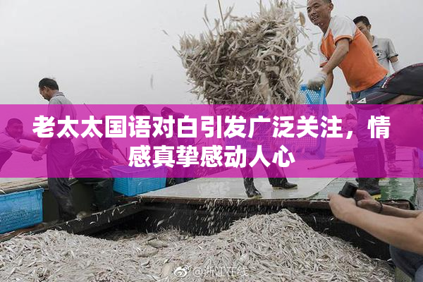 老太太国语对白引发广泛关注，情感真挚感动人心
