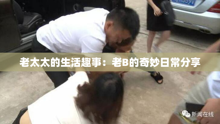 老太太的生活趣事：老B的奇妙日常分享
