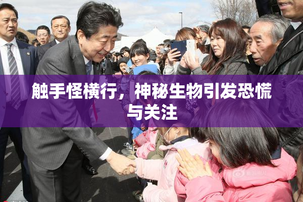 触手怪横行，神秘生物引发恐慌与关注
