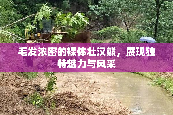 毛发浓密的裸体壮汉熊，展现独特魅力与风采