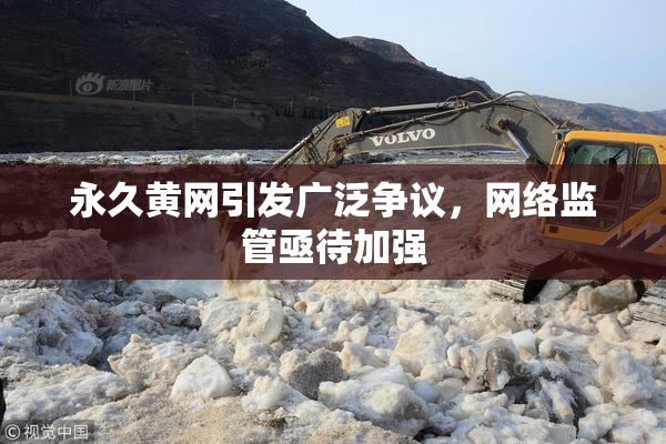 永久黄网引发广泛争议，网络监管亟待加强