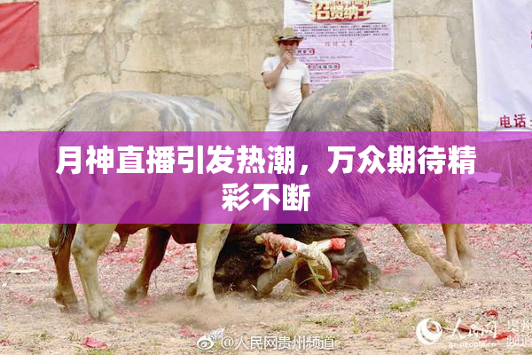 月神直播引发热潮，万众期待精彩不断