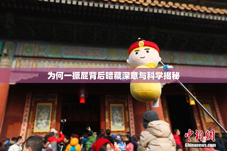 为何一撅屁背后暗藏深意与科学揭秘