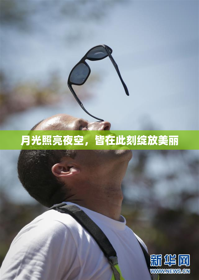 月光照亮夜空，皆在此刻绽放美丽
