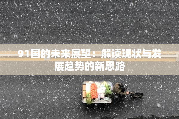 91国的未来展望：解读现状与发展趋势的新思路