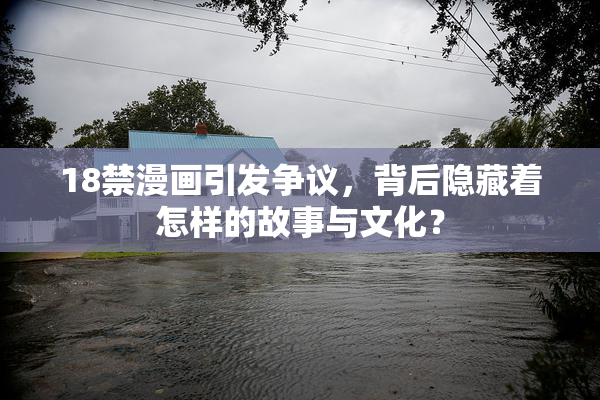 18禁漫画引发争议，背后隐藏着怎样的故事与文化？
