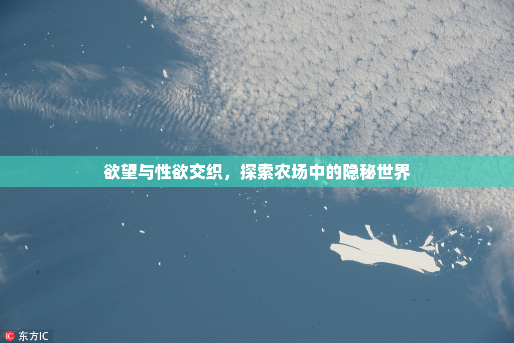 欲望与性欲交织，探索农场中的隐秘世界