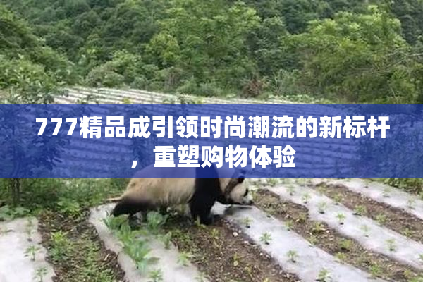 777精品成引领时尚潮流的新标杆，重塑购物体验