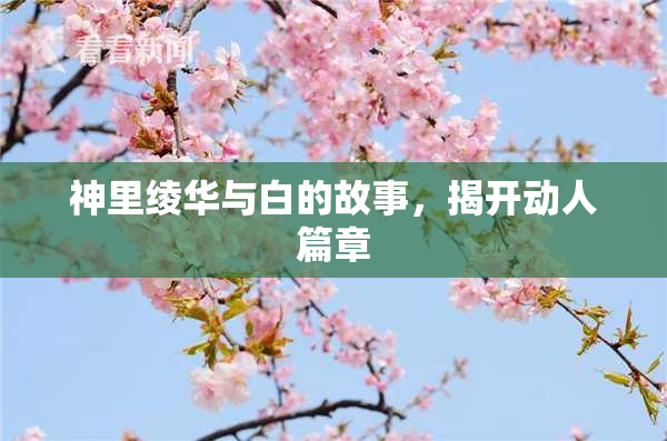 神里绫华与白的故事，揭开动人篇章