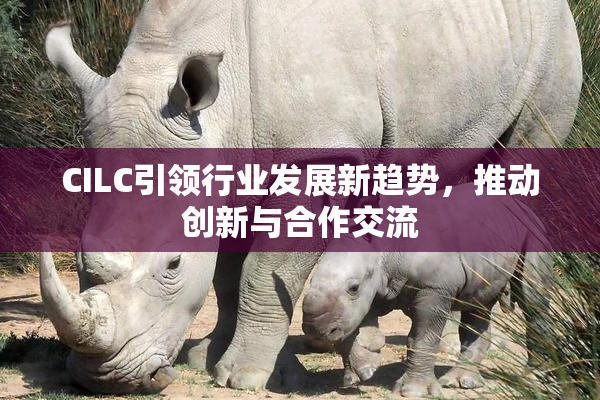 CILC引领行业发展新趋势，推动创新与合作交流