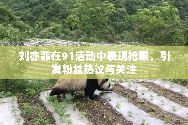 刘亦菲在91活动中表现抢眼，引发粉丝热议与关注