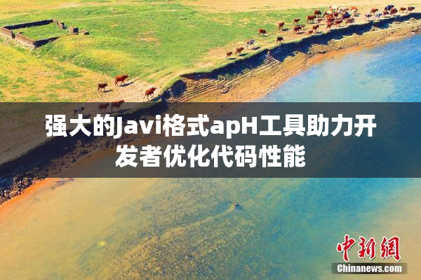 强大的Javi格式apH工具助力开发者优化代码性能