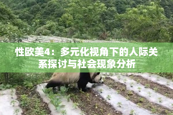 性欧美4：多元化视角下的人际关系探讨与社会现象分析