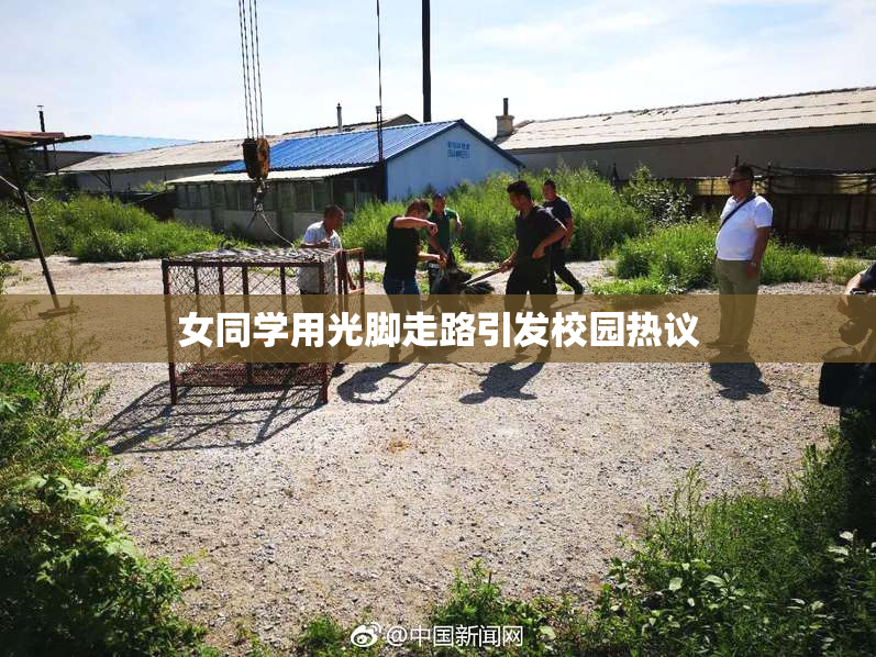 女同学用光脚走路引发校园热议