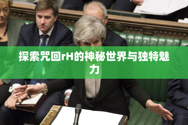 探索咒回rH的神秘世界与独特魅力