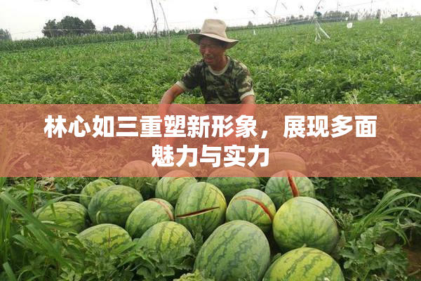 林心如三重塑新形象，展现多面魅力与实力