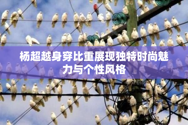 杨超越身穿比重展现独特时尚魅力与个性风格