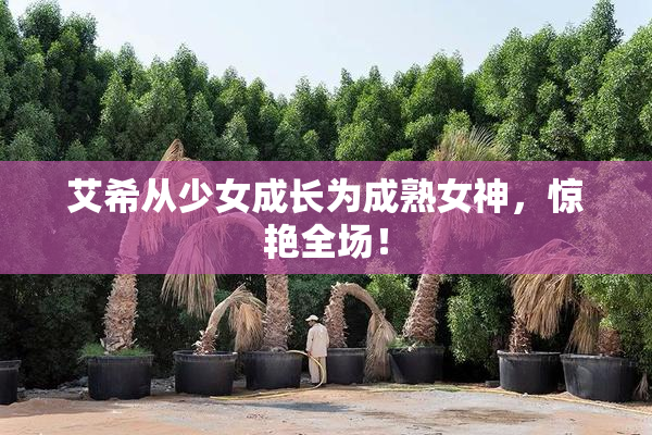 艾希从少女成长为成熟女神，惊艳全场！