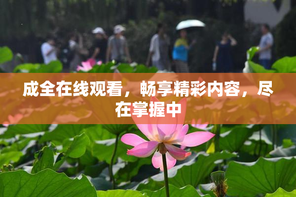 成全在线观看，畅享精彩内容，尽在掌握中
