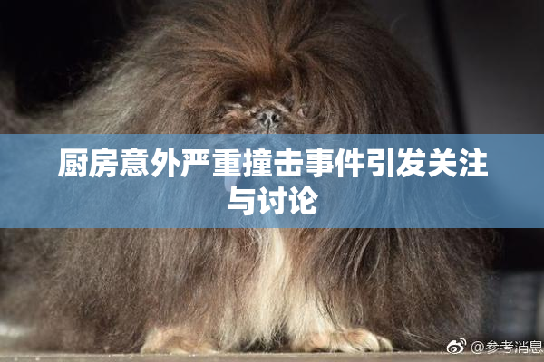 厨房意外严重撞击事件引发关注与讨论