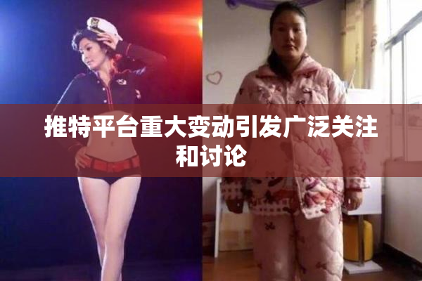 推特平台重大变动引发广泛关注和讨论