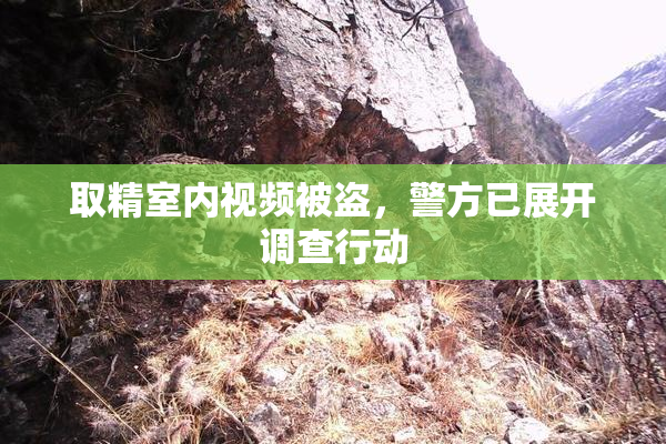 取精室内视频被盗，警方已展开调查行动