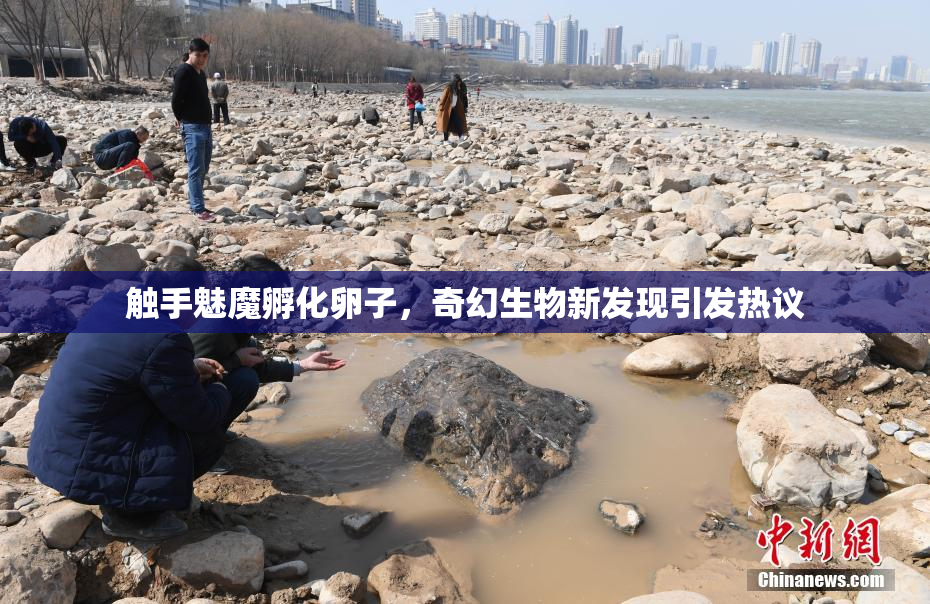 触手魅魔孵化卵子，奇幻生物新发现引发热议