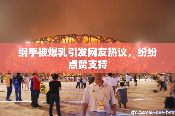 纲手被爆乳引发网友热议，纷纷点赞支持