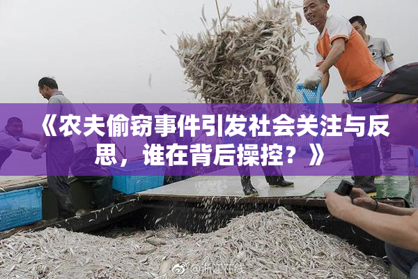 《农夫偷窃事件引发社会关注与反思，谁在背后操控？》