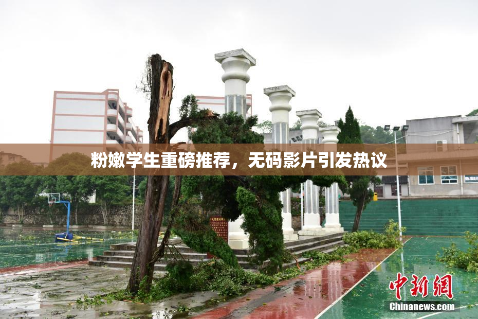 粉嫩学生重磅推荐，无码影片引发热议