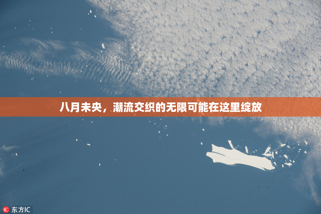 八月未央，潮流交织的无限可能在这里绽放