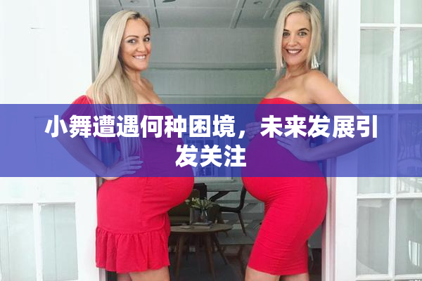 小舞遭遇何种困境，未来发展引发关注
