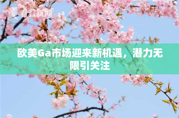 欧美Ga市场迎来新机遇，潜力无限引关注