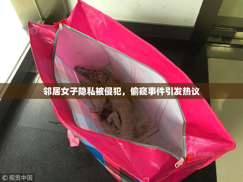 邻居女子隐私被侵犯，偷窥事件引发热议